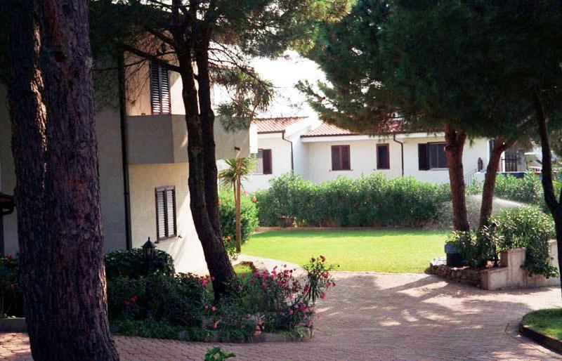 Villaggio Pineta Petto Bianco Capo Vaticano Exteriör bild
