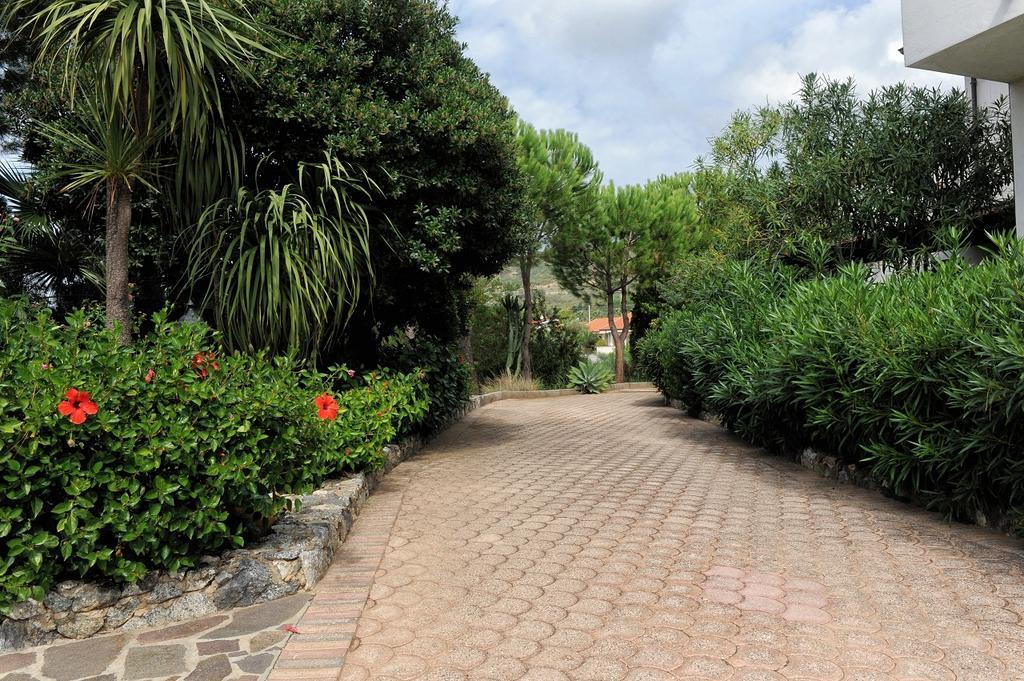 Villaggio Pineta Petto Bianco Capo Vaticano Exteriör bild