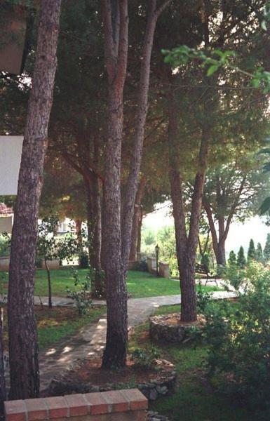 Villaggio Pineta Petto Bianco Capo Vaticano Exteriör bild