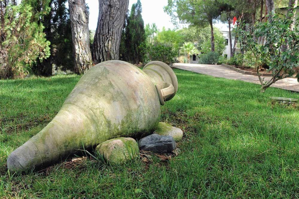 Villaggio Pineta Petto Bianco Capo Vaticano Exteriör bild
