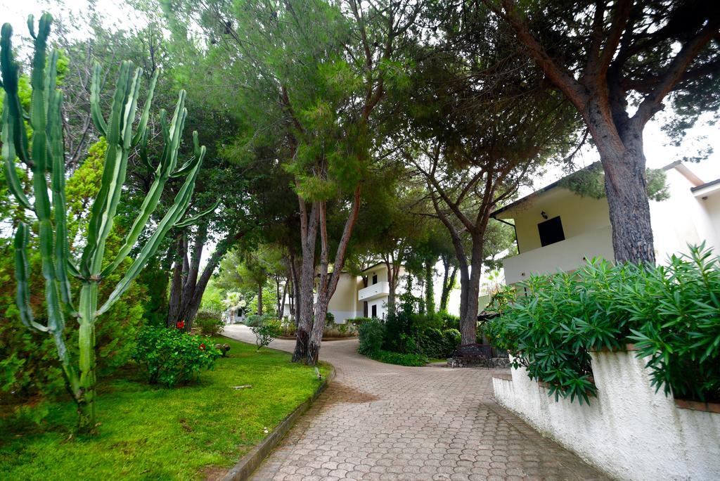 Villaggio Pineta Petto Bianco Capo Vaticano Exteriör bild