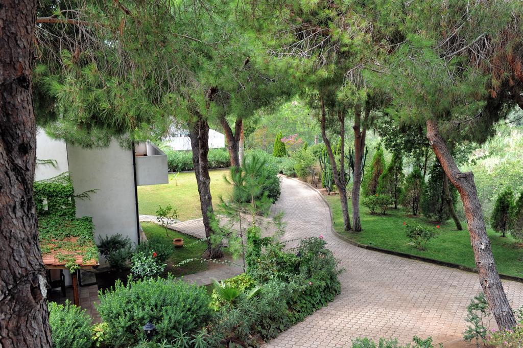 Villaggio Pineta Petto Bianco Capo Vaticano Exteriör bild